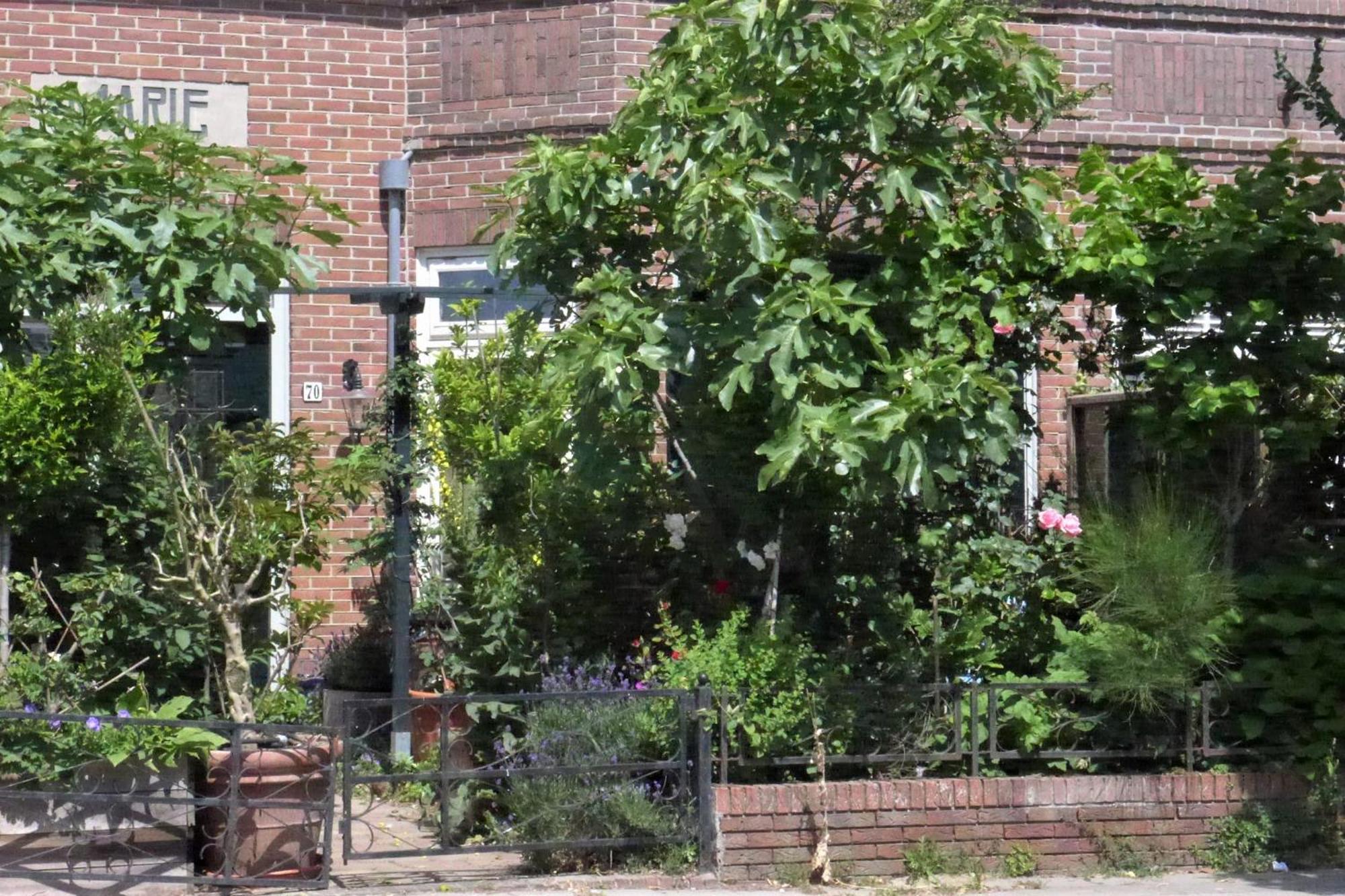 Family Home Marie Zandvoort Zewnętrze zdjęcie