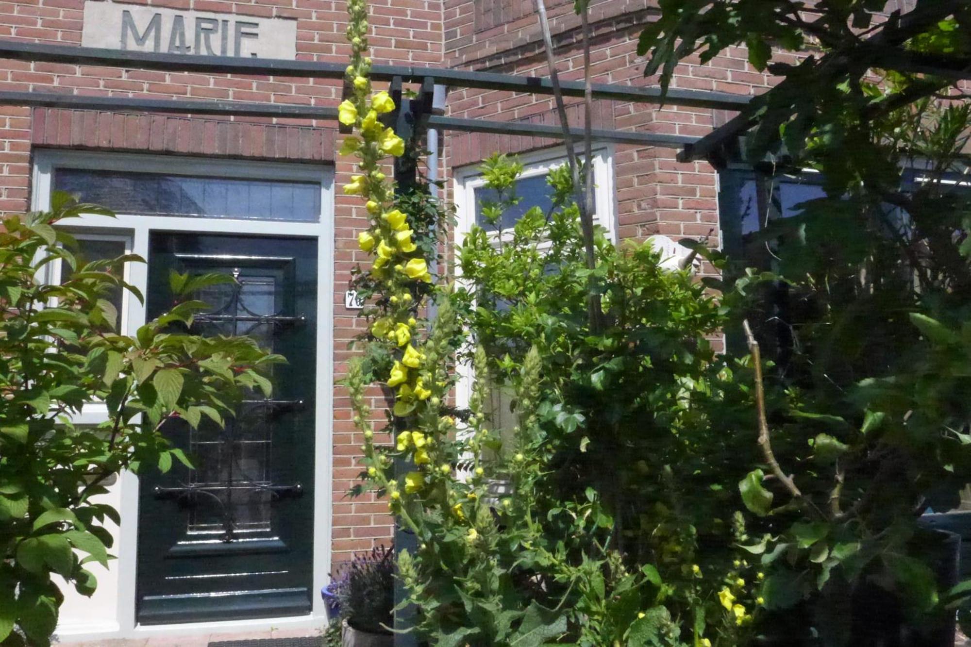 Family Home Marie Zandvoort Zewnętrze zdjęcie